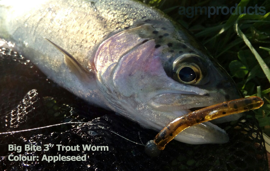 https://www.agmdiscountfishing.co.uk/wp-content/uploads/2017/06/products-rainbow-trout-worm.jpg